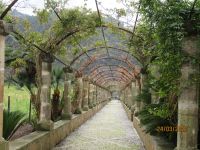 Alfabia Laubengang &ndash; &copy; Kathrin Mickan (Eberhardt TRAVEL)