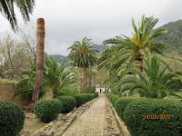 Arabische Gärten Alfabia (2) &ndash; &copy; Kathrin Mickan (Eberhardt TRAVEL)