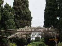 Garten Marivent (2)