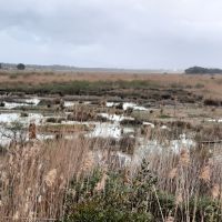 Albufera 2 &ndash; &copy; Kathrin Mickan (Eberhardt TRAVEL)