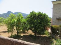 Orangenbäume &ndash; &copy; Heike Meinhold (Eberhardt TRAVEL)