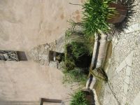 Alfabia &ndash; &copy; Heike Meinhold (Eberhardt TRAVEL)