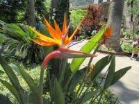 Garten &ndash; &copy; Heike Meinhold (Eberhardt TRAVEL)