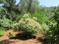 Garten &ndash; &copy; Heike Meinhold (Eberhardt TRAVEL)