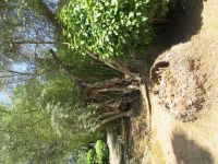 Gartenanlage &ndash; &copy; Heike Meinhold (Eberhardt TRAVEL)