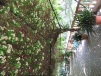 Alfabia &ndash; &copy; Heike Meinhold (Eberhardt TRAVEL)