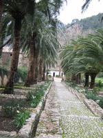 Gärten von Alfabia &ndash; &copy; Kathrin Mickan (Eberhardt TRAVEL)