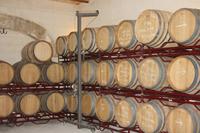 Im Weingut &ndash; &copy; Sylvia Sann (Eberhardt TRAVEL)