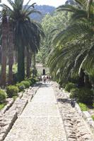 Gärten von Alfabia &ndash; &copy; Sylvia Sann (Eberhardt TRAVEL)