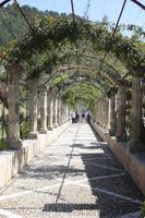 Gärten von Alfabia &ndash; &copy; Sylvia Sann (Eberhardt TRAVEL)