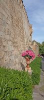 Palma &ndash; &copy; Heike Meinhold (Eberhardt TRAVEL)