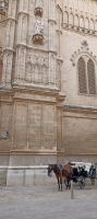 Palma &ndash; &copy; Heike Meinhold (Eberhardt TRAVEL)