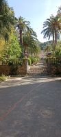 IMG_20230428_101830.jpg