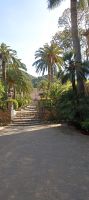Alfabia &ndash; &copy; Heike Meinhold (Eberhardt TRAVEL)