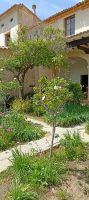 Klostergarten &ndash; &copy; Heike Meinhold (Eberhardt TRAVEL)