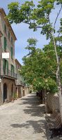 Valldemossa &ndash; &copy; Heike Meinhold (Eberhardt TRAVEL)