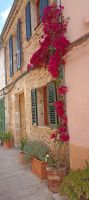 Alcudia &ndash; &copy; Heike Meinhold (Eberhardt TRAVEL)