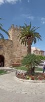 Alcudia &ndash; &copy; Heike Meinhold (Eberhardt TRAVEL)