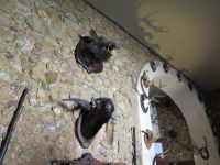 Landgut Es Calderes &ndash; &copy; Kathrin Mickan (Eberhardt TRAVEL)