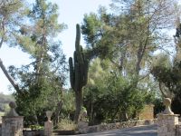 Landgut Es Calderes &ndash; &copy; Kathrin Mickan (Eberhardt TRAVEL)