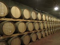 Weinkellerei Marcia Batle &ndash; &copy; Kathrin Mickan (Eberhardt TRAVEL)