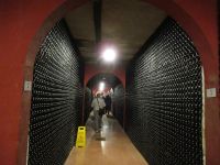 Weinkeller Macia Batle &ndash; &copy; Kathrin Mickan (Eberhardt TRAVEL)