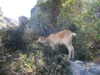 DSCN8715.JPG &ndash; &copy; Kerstin Veit (Eberhardt TRAVEL)