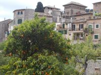 DSCN8814.JPG  Valldemossa &ndash; &copy; Kerstin Veit (Eberhardt TRAVEL)