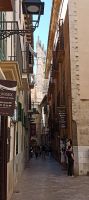 Palma