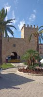 Alcudia &ndash; &copy; Heike Meinhold (Eberhardt TRAVEL)