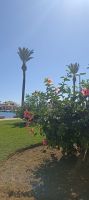 Port de Pollenca &ndash; &copy; Heike Meinhold (Eberhardt TRAVEL)