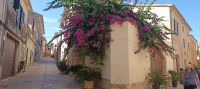 Alcudia &ndash; &copy; Heike Meinhold (Eberhardt TRAVEL)
