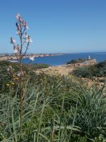 DSCN9709.JPG  bei Porto Cristo &ndash; &copy; Kerstin Veit (Eberhardt TRAVEL)