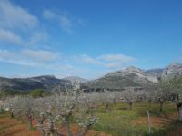 DSCN9736.JPG