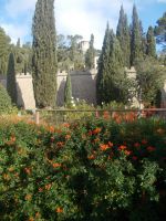 DSCN9902.JPG  Raixa &ndash; &copy; Kerstin Veit (Eberhardt TRAVEL)
