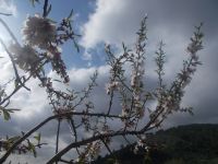 DSCN9922.JPG &ndash; &copy; Kerstin Veit (Eberhardt TRAVEL)
