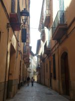 DSCN0041.JPG  Straße Palma &ndash; &copy; Kerstin Veit (Eberhardt TRAVEL)