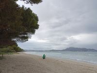 Alcudia Strand - Mallorca &ndash; &copy; Marieta Beck (Eberhardt TRAVEL)