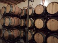 Weingut Vinya Taujana - im Weinkeller - Mallorca &ndash; &copy; Marieta Beck (Eberhardt TRAVEL)