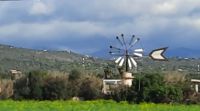 Auf dem Weg - die Windmühlen - Mallorca &ndash; &copy; Marieta Beck (Eberhardt TRAVEL)