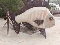 Der Steinfisch in Colonia St. Jordi - Mallorca &ndash; &copy; Marieta Beck (Eberhardt TRAVEL)