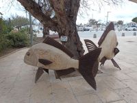 Die Steinfische in Colonia St. Jordi - Mallorca &ndash; &copy; Marieta Beck (Eberhardt TRAVEL)