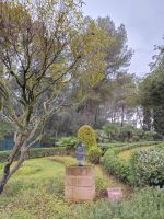Gärten von Marivet - und Kunstwerke von Joan Miró - Palma de Mallorca &ndash; &copy; Marieta Beck (Eberhardt TRAVEL)