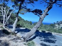 MA-2210 Pollenca &ndash; &copy; Sabine Reckord (Eberhardt TRAVEL)