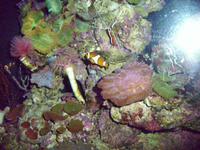 Im Palma Aquarium &ndash; &copy; Anne Hiecke (Eberhardt TRAVEL)