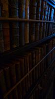 Büchersammlung im Kloster von Valdemossa