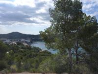 Camp de Mar