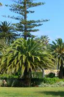 100-wunderschöner Park in der Finca Sant Patrici &ndash; &copy; Cindy Streidt (Eberhardt TRAVEL)