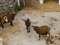 P1020931 &ndash; &copy; Kathrin Mickan (Eberhardt TRAVEL)