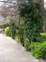 Alfabia &ndash; &copy; Sandra Mahr (Eberhardt TRAVEL)